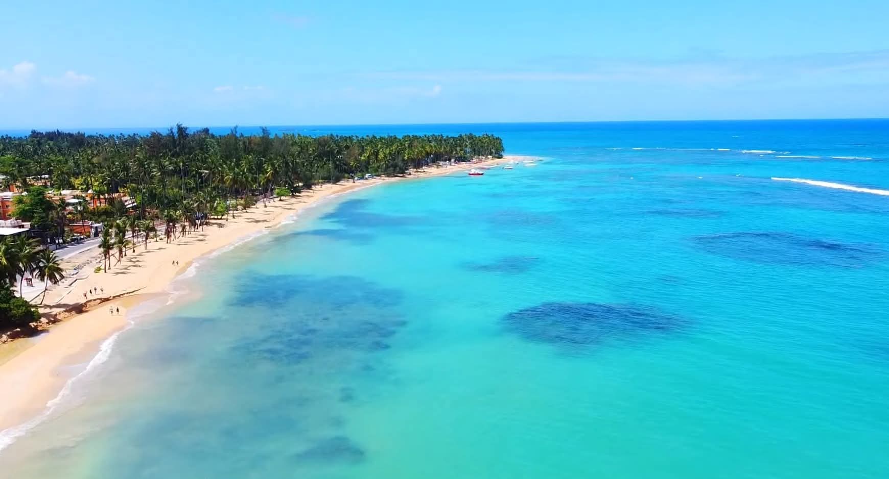 Aerial view of palm-lined beach strip with turquoise water