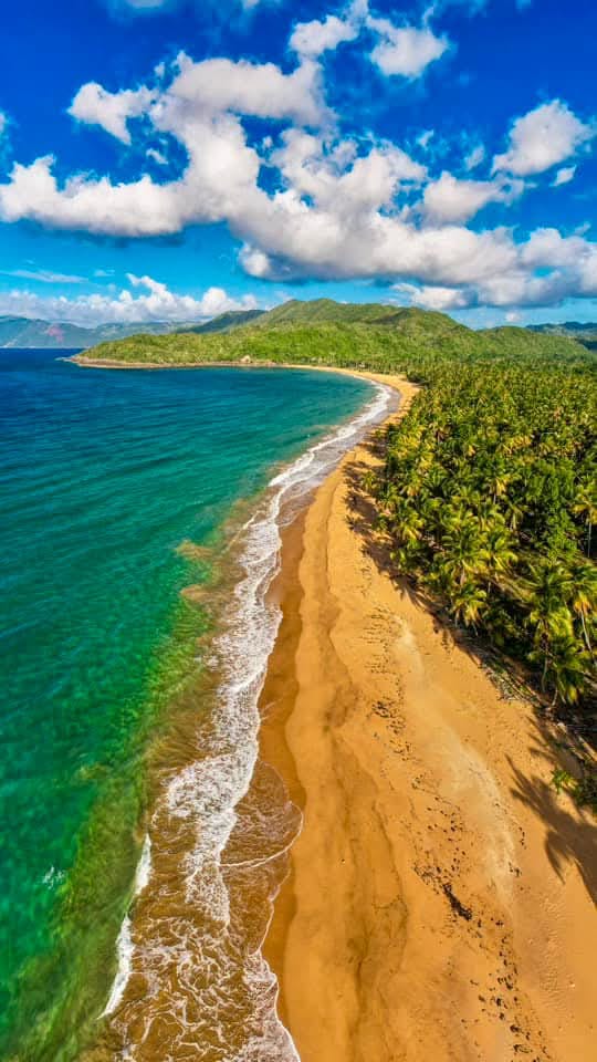 Aerial view of golden beach with mountains and palm forest