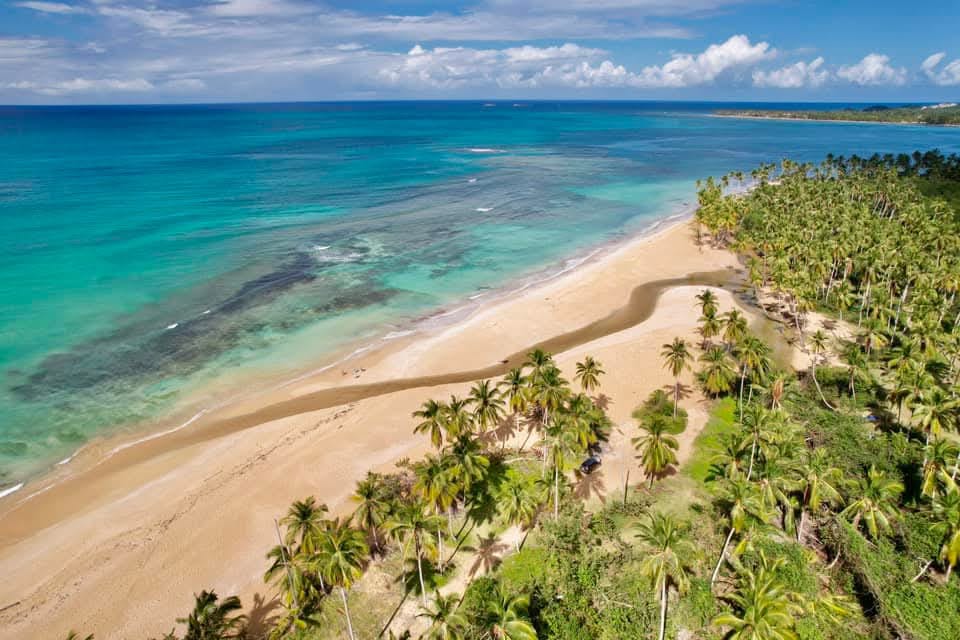 Aerial view of palm-covered beach with turquoise reef waters