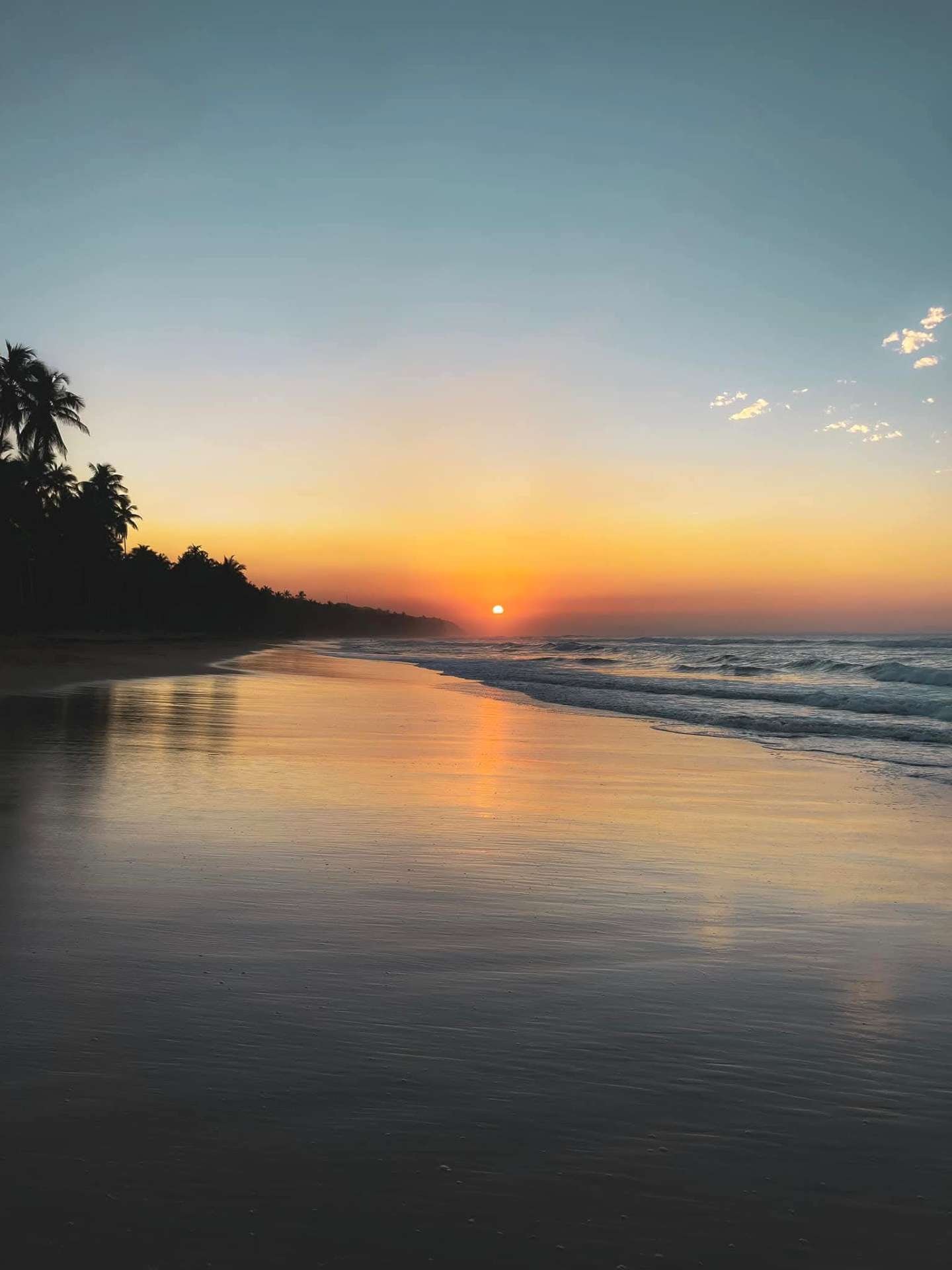 Serene sunset with palm silhouettes reflecting on wet sand